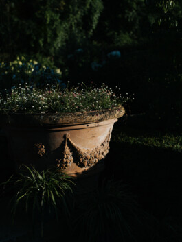 Personal Branding & Business Fotografie