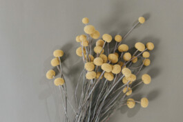 Personal Branding & Business Fotografie